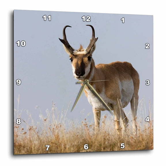 3drose, Pronghorn Antelope Buck., 15x15 Wall Clock