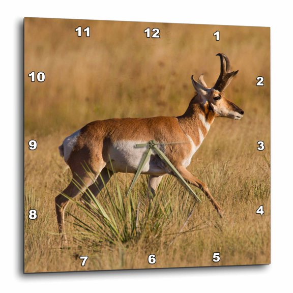3drose, Pronghorn Antelope Running Through Prairie Grass - Us32 Ldi0060 - Larry Ditto, 15x15 Wall Clock