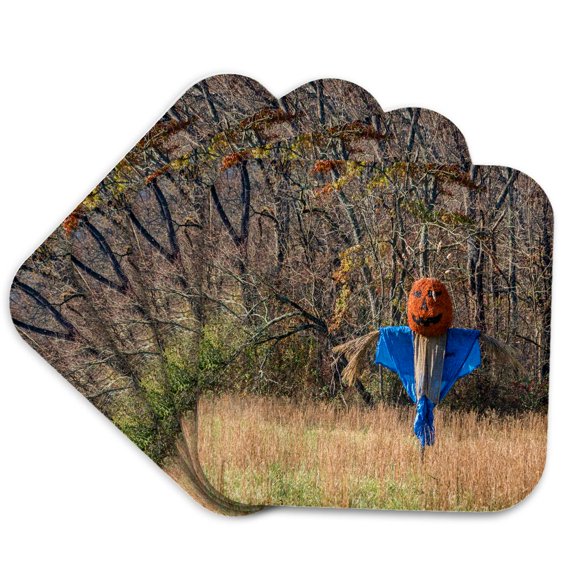 3drose, Pumpkin Head, Set of 4 Coasters - Soft