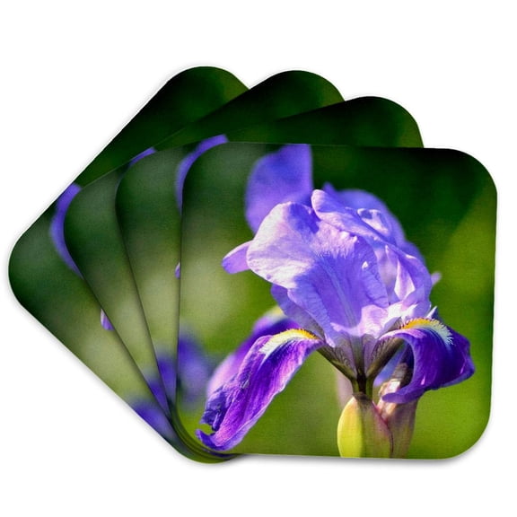 3drose, Purple Iris Flower Close up Photograph, Set of 4 Coasters - Soft