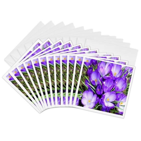3drose, Purple Tulips Open Wide, 12 Greeting Cards with Envelopes