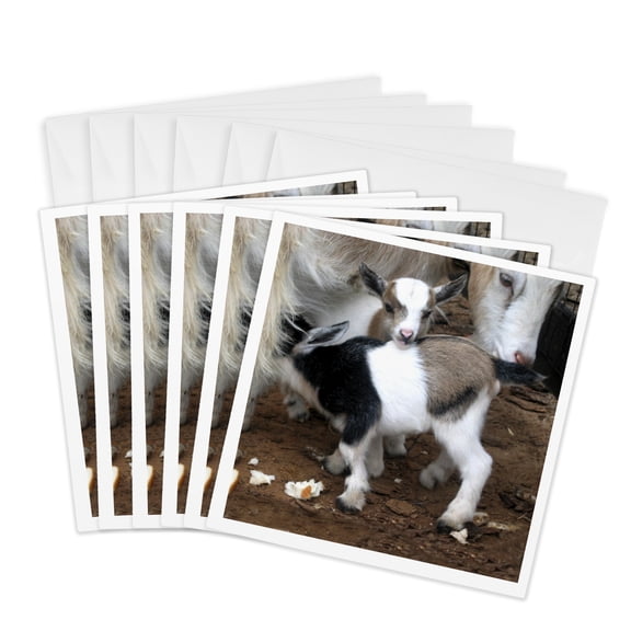 3drose, Pygmy Goat Family, 6 Greeting Cards with Envelopes