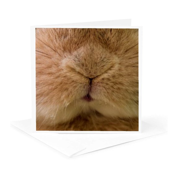 3drose, Rabbit Mask, 1 Greeting Card with Envelope