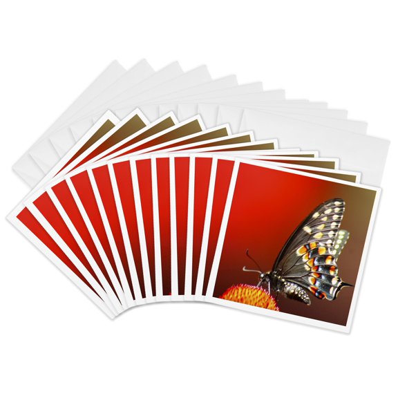 3drose, Red, 12 Greeting Cards with Envelopes