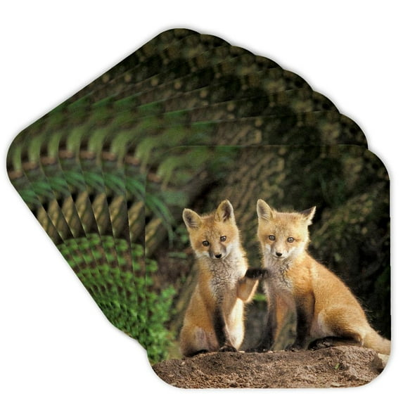 3drose, Red Fox Pup in Front of Den - Na02 Aje0310 - Adam Jones, Set of 8 Coasters - Cork