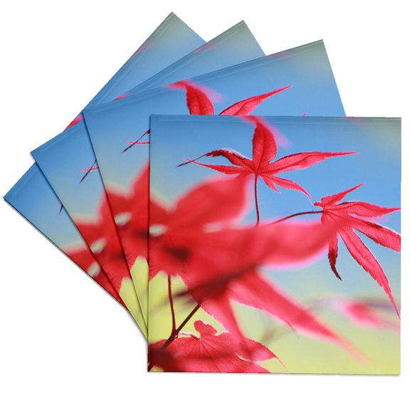 3drose, Red Japanese Maple Leaves Autumn Color Blue Sky Fall, Set of 4 Ceramic Tile Coasters
