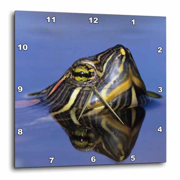 3drose, Red-eared Slider Turtle, Rio Grande Valley, Texas - Na02 Rnu0745 - Rolf Nussbaumer, 15x15 Wall Clock