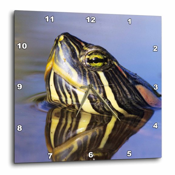 3drose, Red-eared Slider Turtle, Rio Grande Valley, Texas - Us44 Rnu0219 - Rolf Nussbaumer, 15x15 Wall Clock