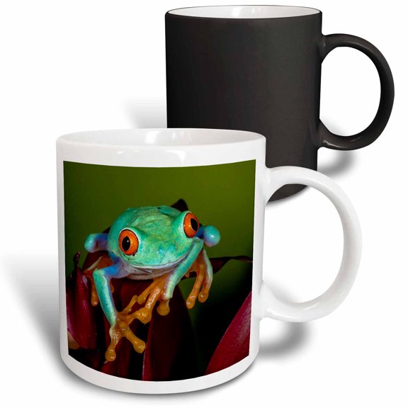 3drose, Red-eyed Tree Frog Close-up., 11oz Magic Transforming Mug