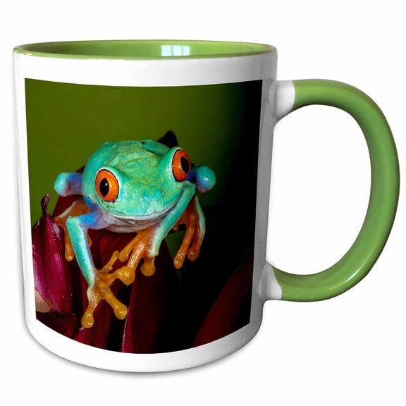 3drose, Red-eyed Tree Frog Close-up., 11oz Two-tone Green Mug