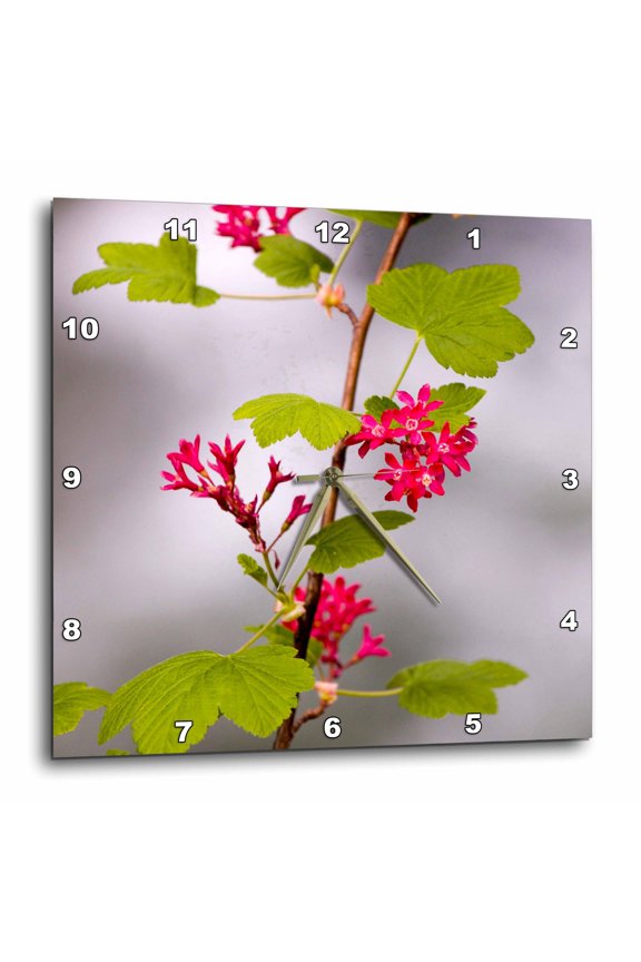 , Red-flowering Currant, Vancouver, British Columbia-cn02 Pcl0118 - Paul Colangelo, 15x15 Wall Clock