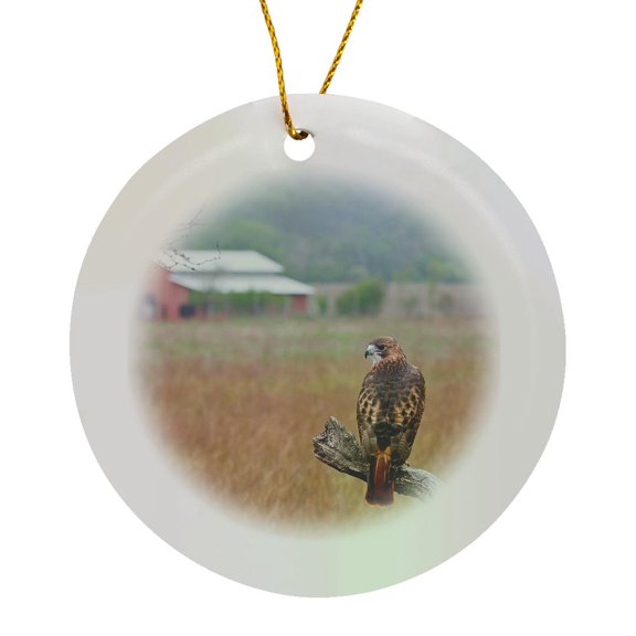 3drose, Red-tailed Hawk, Buteo Jamaicensis, Perched., Circle Porcelain Ornament