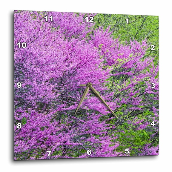 3drose, Redbud Trees in Full Spring Bloom Near Defiance Ohio - Us36 Cha0032 - Chuck Haney, 13x13 Wall Clock