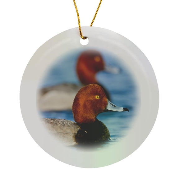 3drose, Redhead Duck Male in Freshwater Pond Near Laguna Madre, Texas., Circle Porcelain Ornament