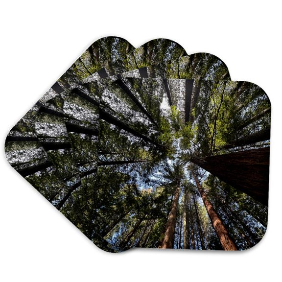 3drose, Redwoods Tree Canopy Looking Upwards Photography, Set of 4 Coasters - Soft