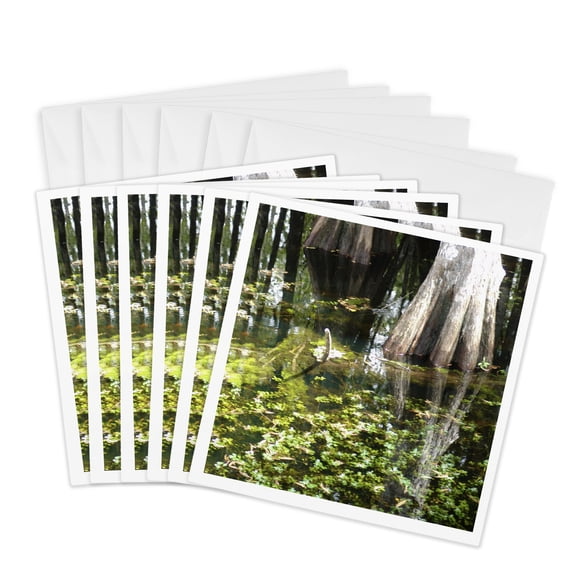 3drose, Reflections in the Swamp, 6 Greeting Cards with Envelopes