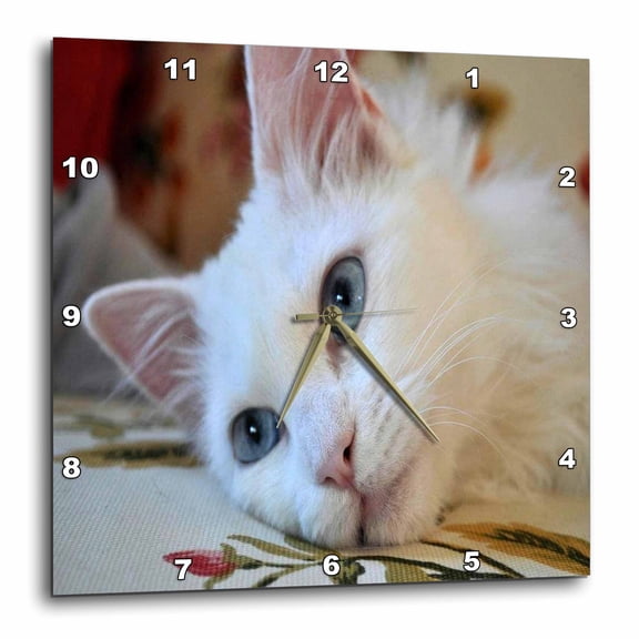 3drose, Relaxed Van Cat - White Cat, Van Cat, Turkish Van Cat, Swimming Cat, Pedigreed Cats, Cat Lovers, Cat, 15x15 Wall Clock