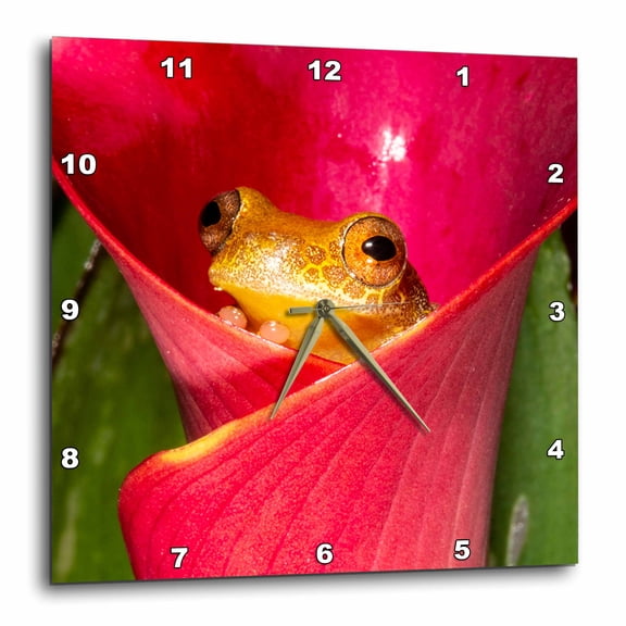 3drose, Reticulated Clown Tree Frog Resting in Calla Lily, 10x10 Wall Clock