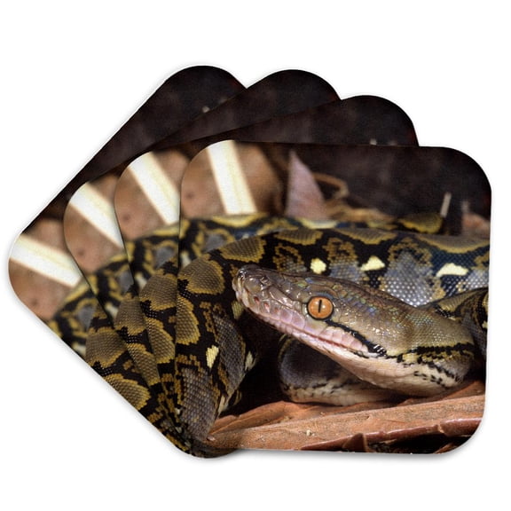 3drose, Reticulated Python Snake - Na02 Dno0481 - David Northcott, Set of 4 Coasters - Soft