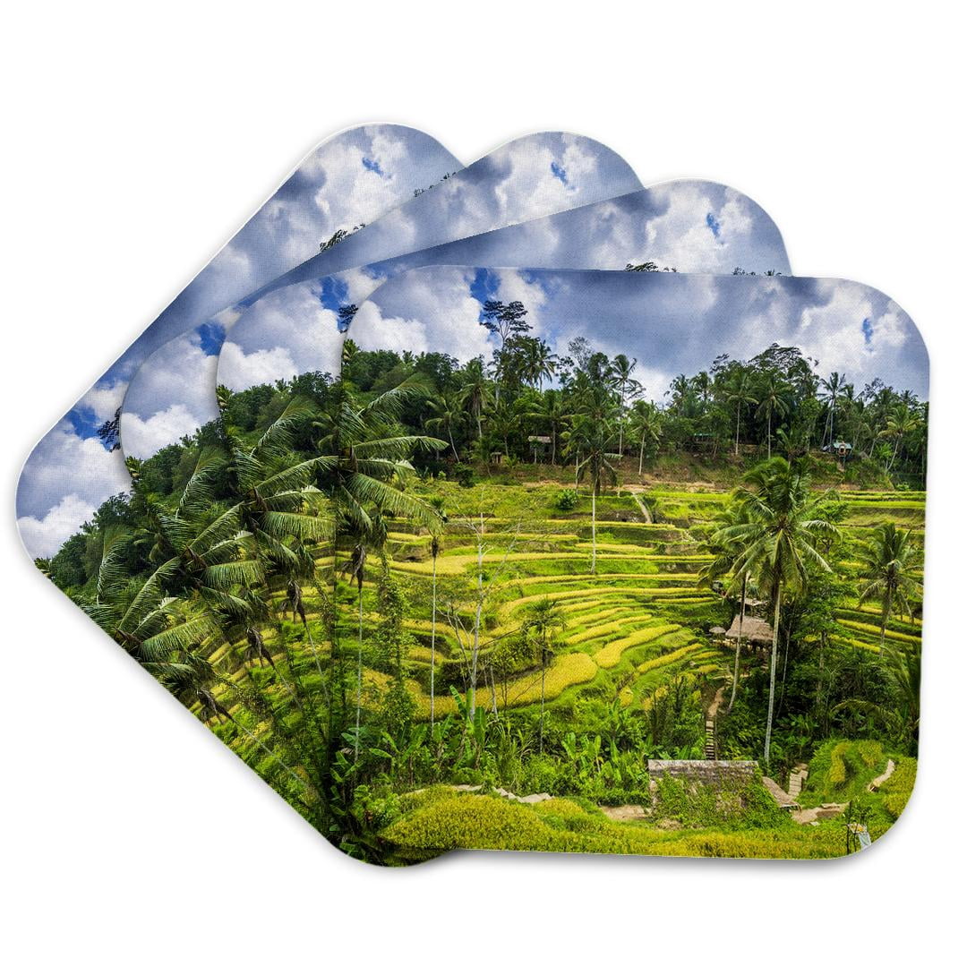 3drose, Rice Fields at Tegallalang Rice Terrace, Bali, Indonesia, Set ...