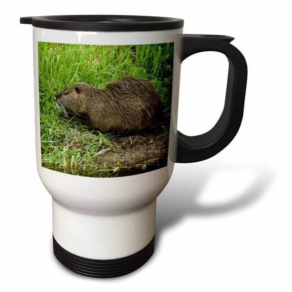 3drose, Ridgefield, Wa. Nutria in Ridgefield Nwr. Coypu, 14oz Stainless Steel Travel Mug
