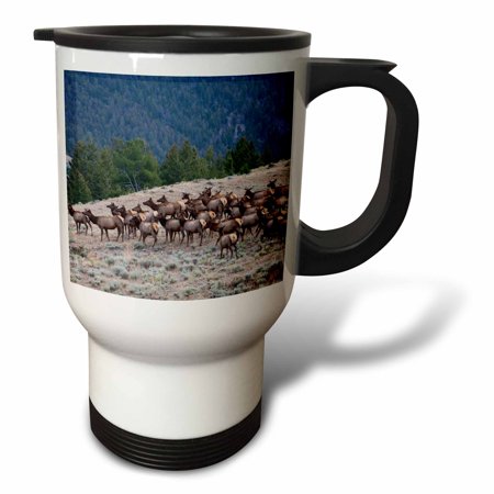 3drose, Rocky Mountain Elk Herd, 14oz Stainless Steel Travel Mug