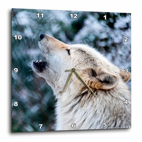 3drose, Rocky Mountain Gray Wolf Howling, 10x10 Wall Clock