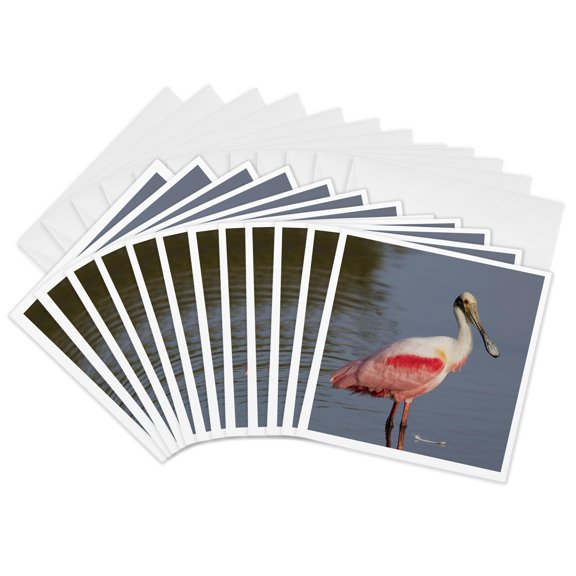 3drose, Roseate Spoonbill, 12 Greeting Cards with Envelopes