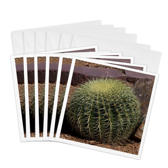 3drose, Round Cactus, 6 Greeting Cards with Envelopes