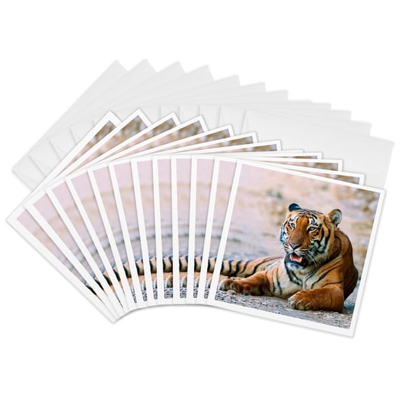 3drose, Royal Bengal Tiger on the Ramganga River, 12 Greeting Cards with Envelopes