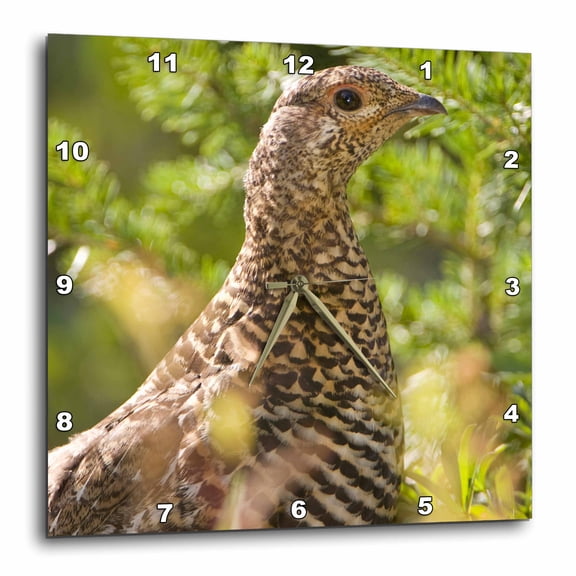 3drose, Ruffed Grouse, Manning Park, British Columbia-cn02 Pcl0130 - Paul Colangelo, 10x10 Wall Clock