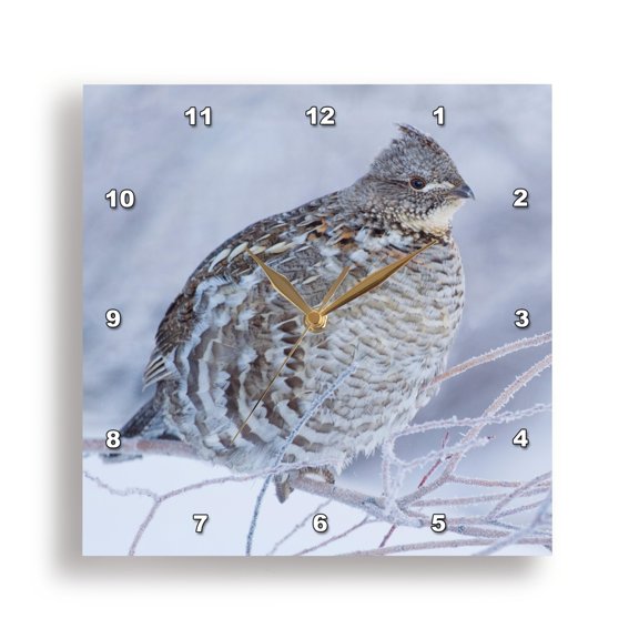 3drose, Ruffed Grouse in Cold Winter Weather., 10x10 Wall Clock