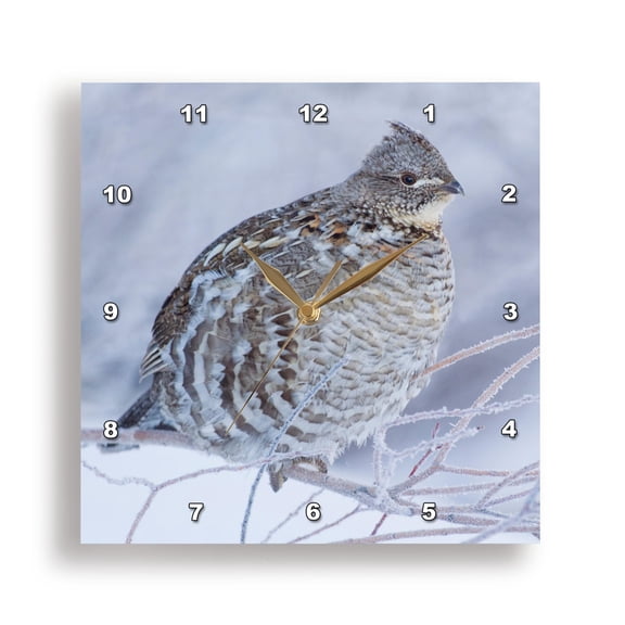 3drose, Ruffed Grouse in Cold Winter Weather., 15x15 Wall Clock