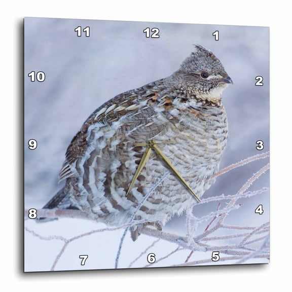 3drose, Ruffed Grouse in Cold Winter Weather., 15x15 Wall Clock