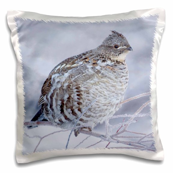 3drose, Ruffed Grouse in Cold Winter Weather., 16x16 inch Pillow Case