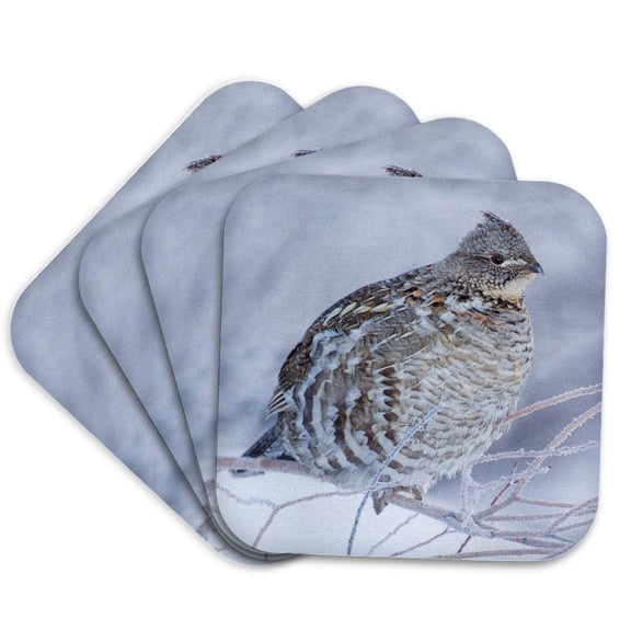 3drose, Ruffed Grouse in Cold Winter Weather., Set of 4 Coasters - Soft