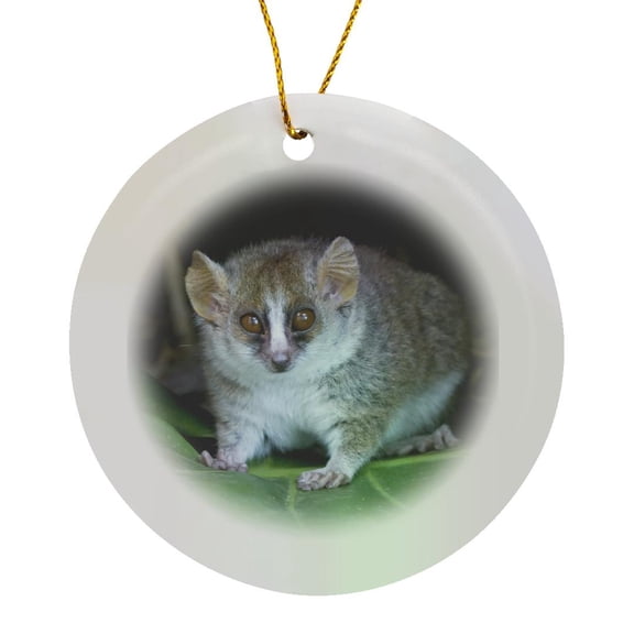 3drose, Russet Mouse Lemur Primate, Perinet Reserve, Madagascar - Af24 Ksu0018 - Keren Su, Circle Porcelain Ornament