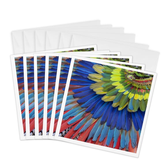 3drose, San Miguel De Allende, Mexico. Native Feather Headdress, 6 Greeting Cards with Envelopes