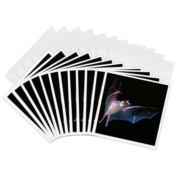 3drose, Sanborns Long-nosed Bat, Arizona - Na02 Dno0395 - David Northcott, 12 Greeting Cards with Envelopes