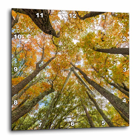 3drose, Sassafras Trees, Stephen Forbes State Park, Fall, Marion County, Il., 10x10 Wall Clock