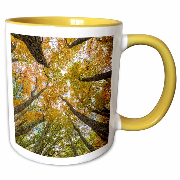 3drose, Sassafras Trees, Stephen Forbes State Park, Fall, Marion County, Il., 11oz Two-tone Yellow Mug