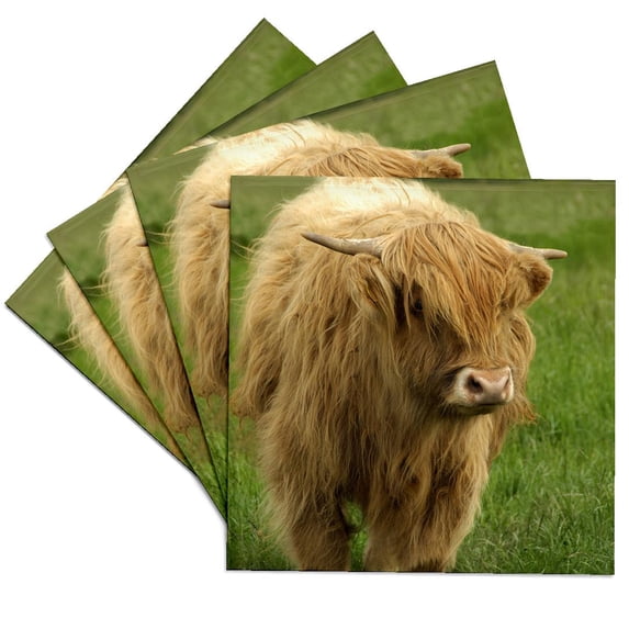 3drose, Scotland, Highland Cow, Farm Animal - Eu36 Cmi0128 - Cindy Miller Hopkins, Set of 4 Ceramic Tile Coasters