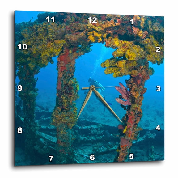 3drose, Scuba Diver, Rms Rhone Wreck, British Virgin Isl-ca10 Sws0055 - Stuart Westmorland, 10x10 Wall Clock