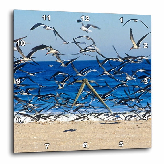3drose, Sea Gull Birds on American Beach, Jacksonville, Fl - Us10 Gjo0229 - Greg Johnston, 10x10 Wall Clock