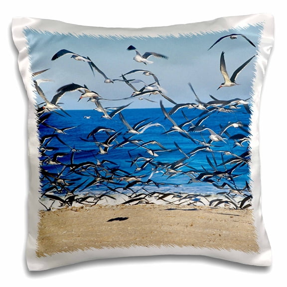 3drose, Sea Gull Birds on American Beach, Jacksonville, Fl - Us10 Gjo0229 - Greg Johnston, 16x16 inch Pillow Case