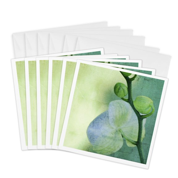 3drose, Sea Orchid Art- Flowers- Zen Art- Nature, 6 Greeting Cards with Envelopes