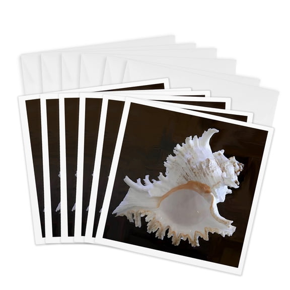 3drose, Sea Shell, 6 Greeting Cards with Envelopes