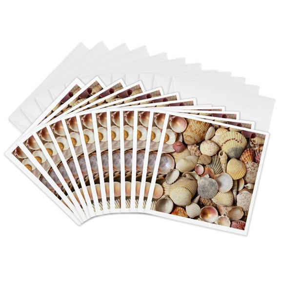 3drose, Sea Shells, 12 Greeting Cards with Envelopes