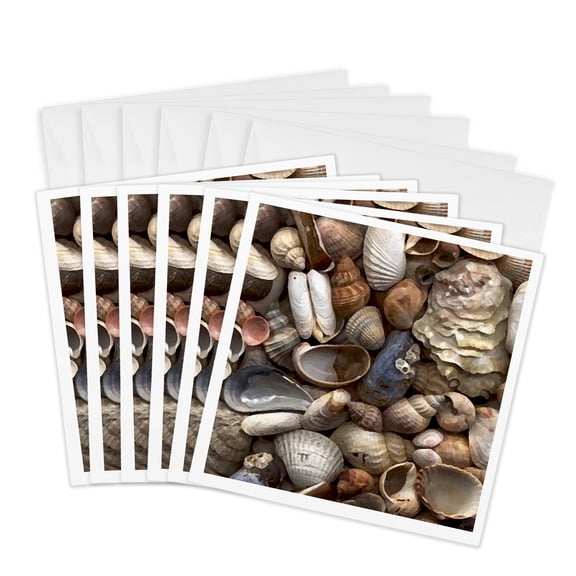 3drose, Sea Shells, 6 Greeting Cards with Envelopes