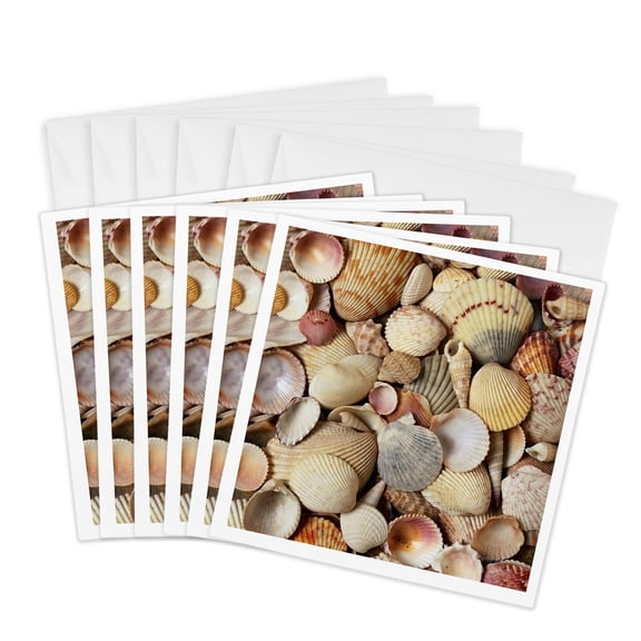 3drose, Sea Shells, 6 Greeting Cards with Envelopes